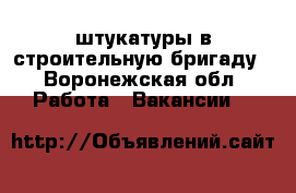  штукатуры в строительную бригаду - Воронежская обл. Работа » Вакансии   